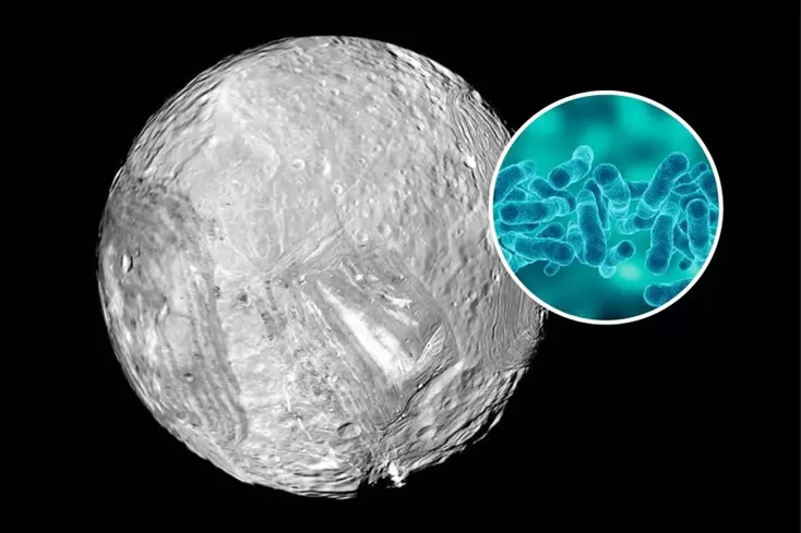 Recent Developments in the Search for Extraterrestrial Life